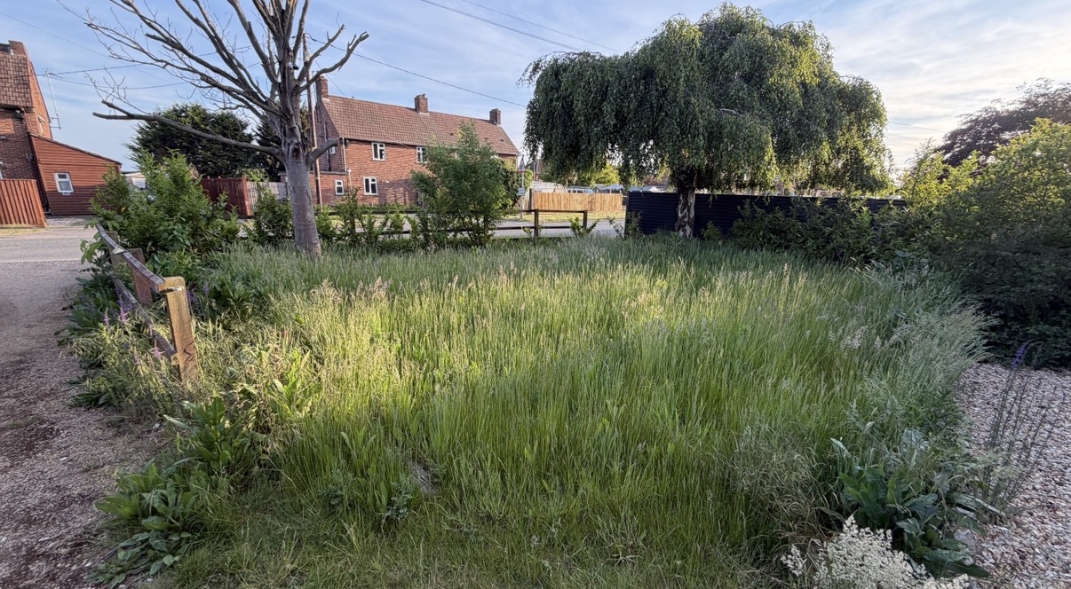 Before: Noble Grounds lawn mowing before and after in Wisbech